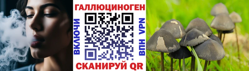Псилоцибиновые грибы прущие грибы  Омутнинск 